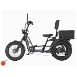 Meet One Trike Meet One Tour 2.0