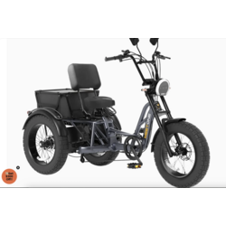 Meet One Trike Tour Lite