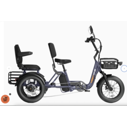 Meet One Trike Meet One Pair Electric Trike with Passenger Seat