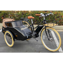 Bluejay Sidecar for Bluejay Electric Bike