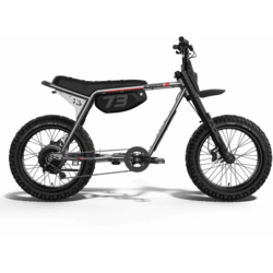 Super 73 SUPER73-Z Adventure Core Legacy Series Metallic Aluminum