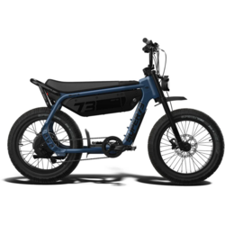 Bikes - Mad Dogs & Englishmen | California