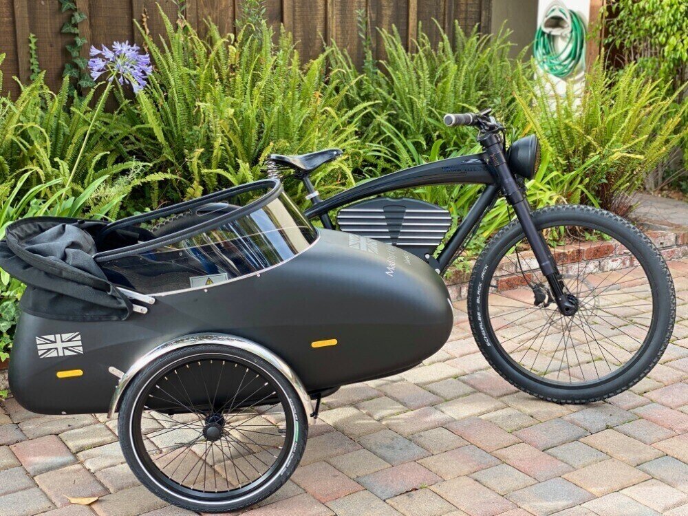 Side Car Vintage Bicycle Sidecar For Sale Retro Vintage Fat Tire