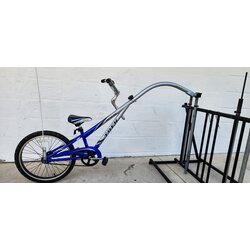 Trek Mountain Train 201