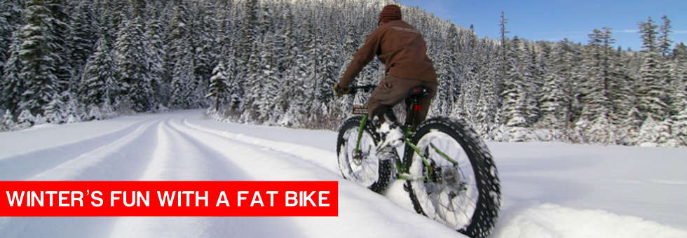fat bikes