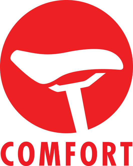 Comfort Bike Icon Buyers Guide Link