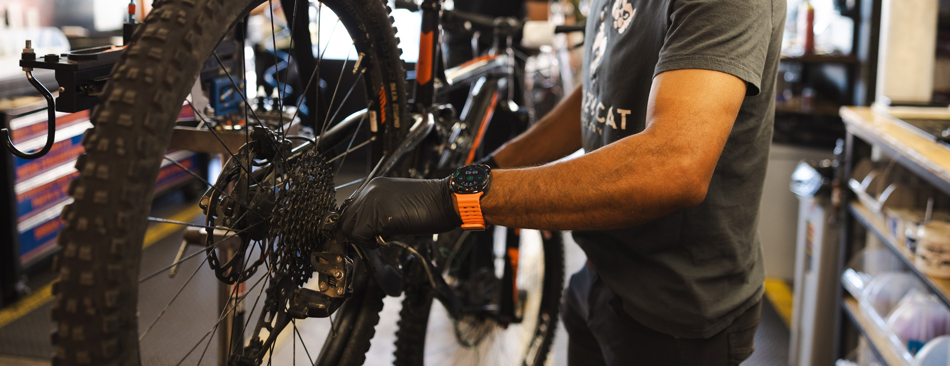 Bike Service & Repair - Crazy Cat Cyclery | El Paso, TX Bike Service & Repair - Crazy Cat Cyclery | El Paso, TX