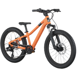 Scott SCOTT Roxter 200 Bike