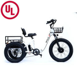 Emojo Bike Bison Pro E-Trike