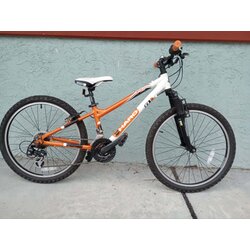 24-Inch Kid's Bikes - LoweRiders | Downingtown, PA