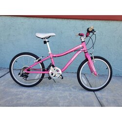 LoweRiders USED SPECIALIZED HOTROCK 20 6 SPD