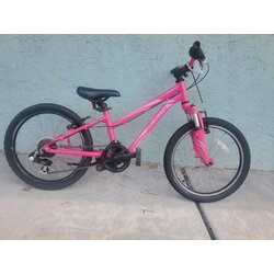 LoweRiders Used Specialized Hotrock 20