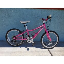 24-Inch Kid's Bikes - LoweRiders | Downingtown, PA