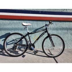 LoweRiders USED RALEIGH EVA 2.0 MED
