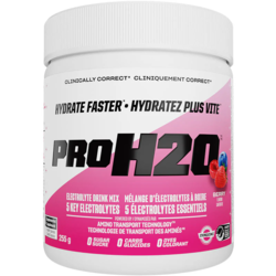PVL PROH2O Electrolytes 255g