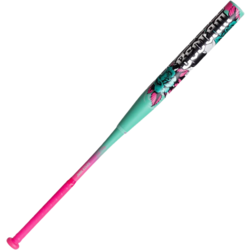 Baseball Equipment - Evolve Sports & Cycle | Quesnel and Prince