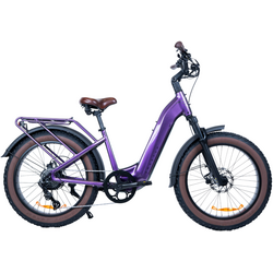 Magnum Bikes Bliss