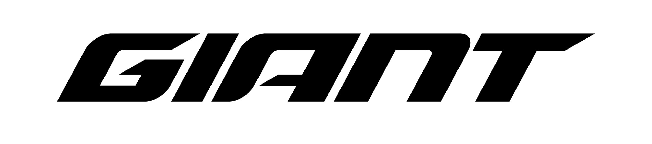 Canada's Best Online Bike Shop Electric Bike Buyer's Guide The Bike Shop