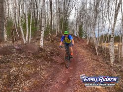 mountain biker riding through birch trees