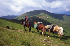 Photo credit: Tim Cope© Photo credit: Tim Cope©