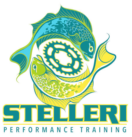 Stelleri Performance Training