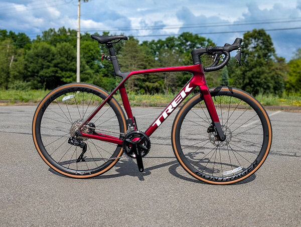 Steiners Sports Madone SL 6