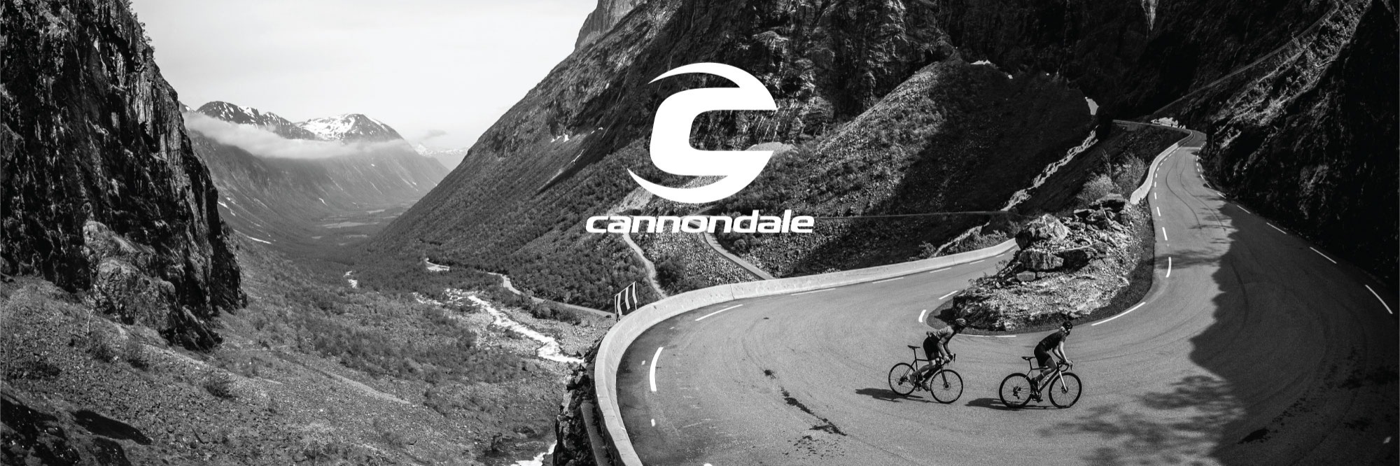 Cannondale Bikes Sold Here