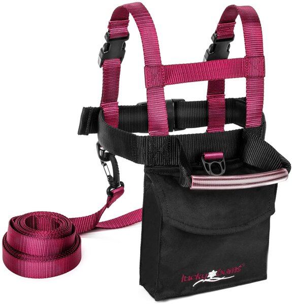 Lucky Bums TRAINER HARNESS