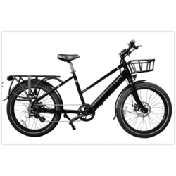 Unified Odyssy + Cargo Bike