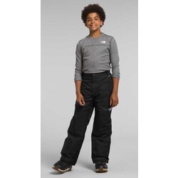 The North Face FREEDOM INSULATED PANT