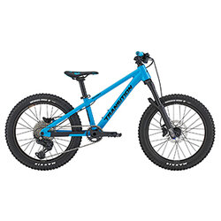 Transition Bandit Hardtail