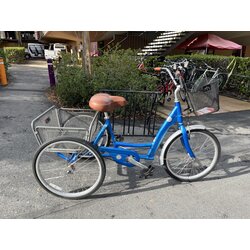 Campus Bike Shop Trek Pure Trike (Used, Medium)
