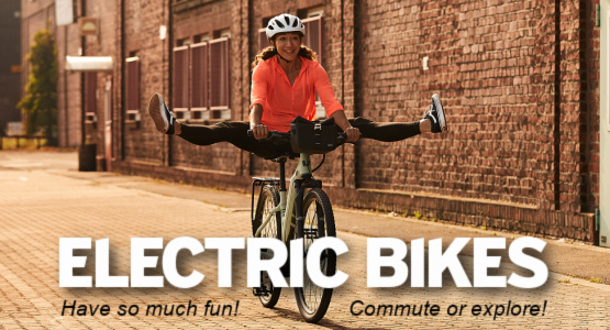 Giant, Liv & Momentum Electric Bikes