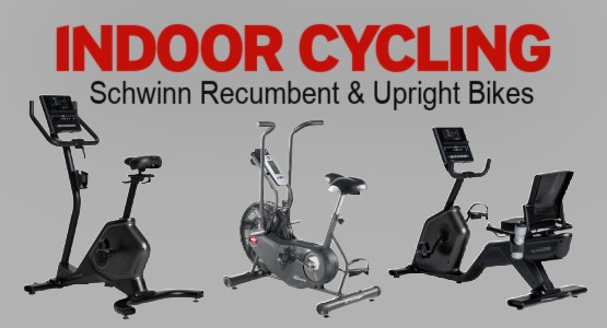 Farina's has Schwinn Recumbent Bikes in Stock