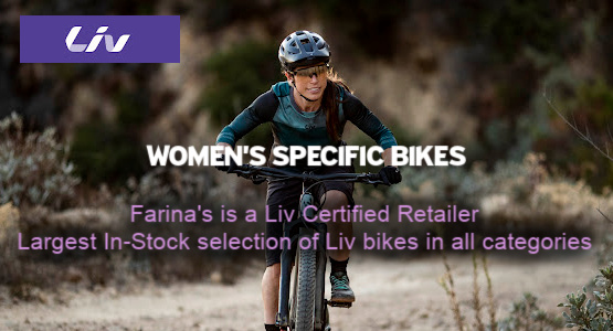 Liv bicycles for women