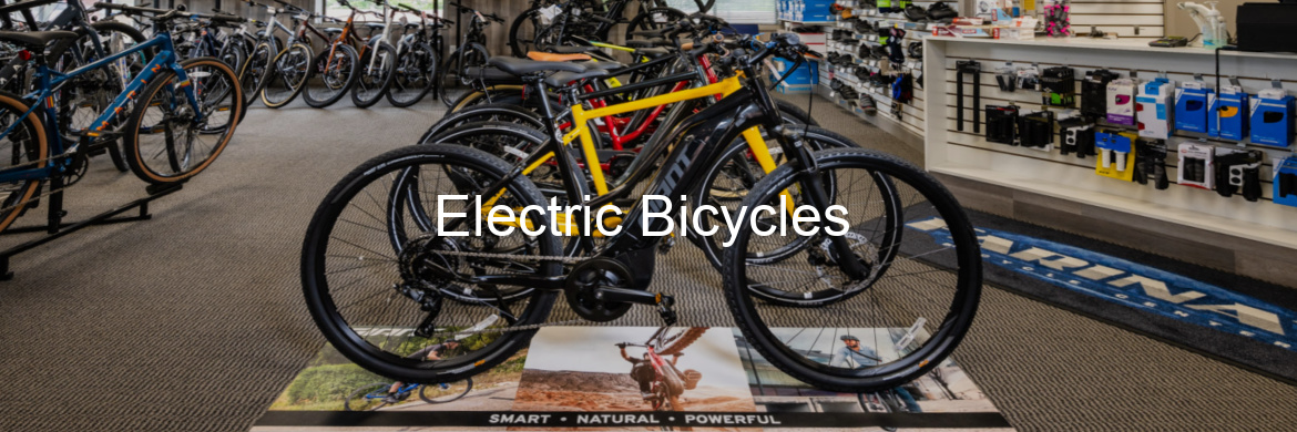 We sell electric bikes from Aventon, Giant, Liv, Momentum and Cannondale