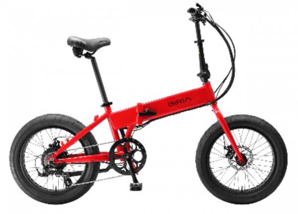 Rental Items Electric Bicycle